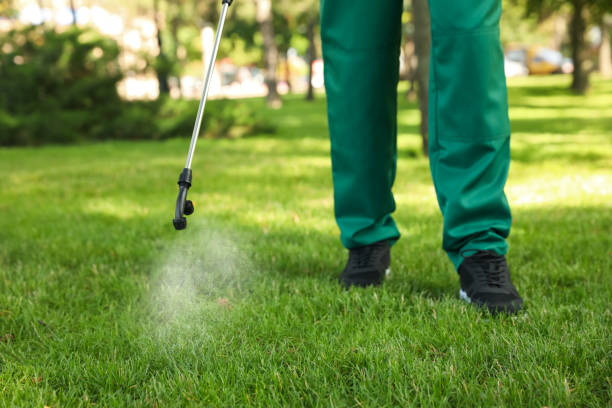 Best Pest Inspection Near Me  in Osseo, MN