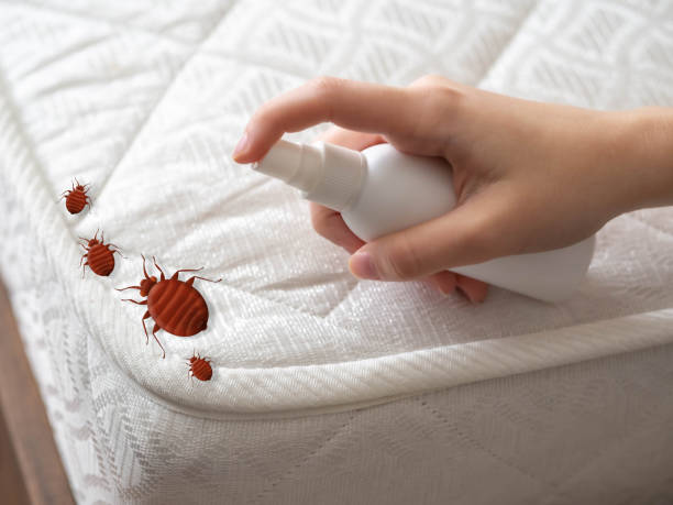 Best Best Pest Control Companies  in Osseo, MN