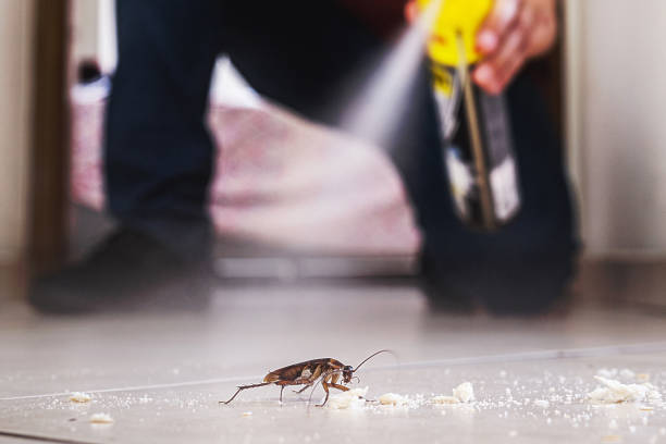 Best Pest Removal Services  in Osseo, MN