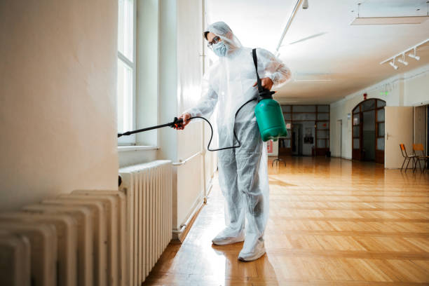 Best Affordable Pest Control Services  in Osseo, MN