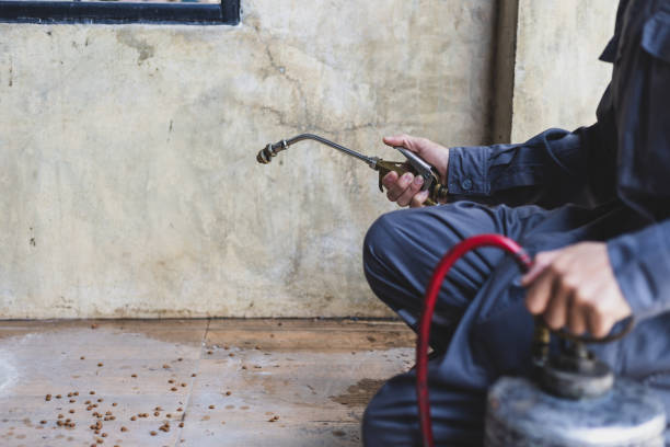 Pest Prevention Services in Osseo, MN