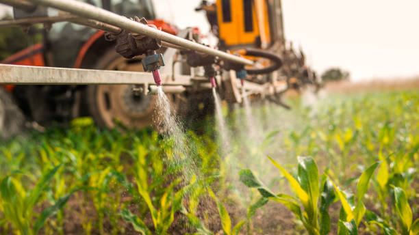 Best Mosquito Control Services  in Osseo, MN