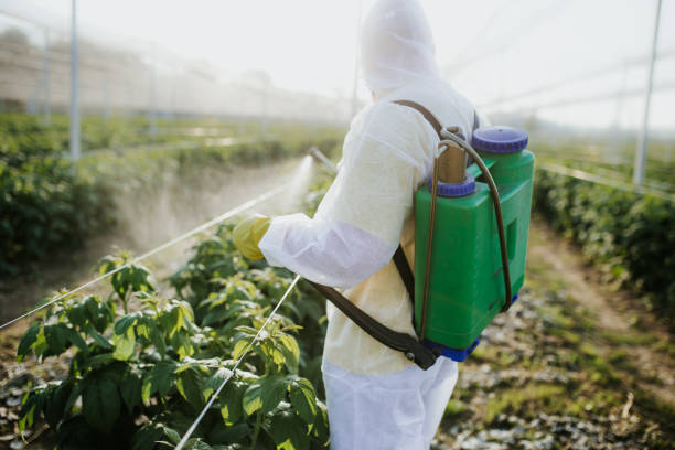  Osseo, MN Pest Control Pros